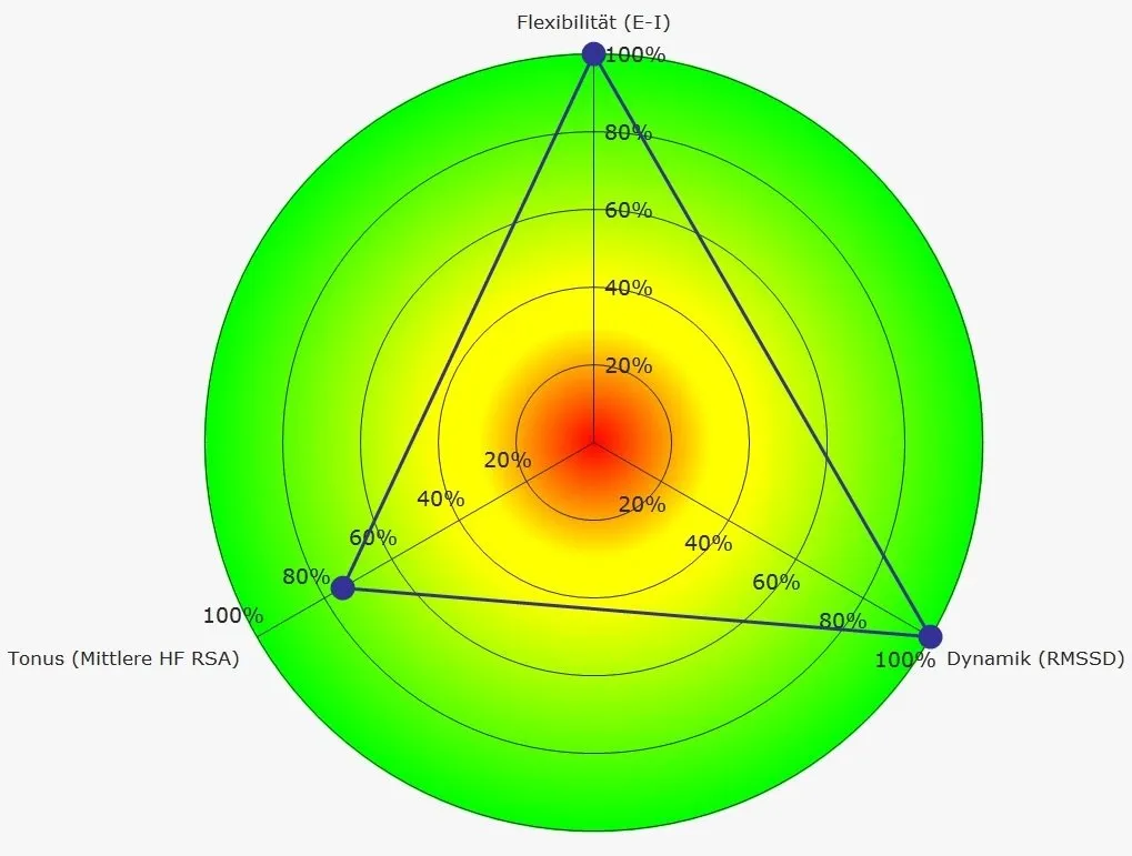 Radial spider chart with three axes (Flexibilität E-I, Tonus Mittlere HF RSA, Dynamik RMSSD); colored gradient from red center to green outer ring and a blue triangle connecting vertex values at 100%, 80%, and 100%.