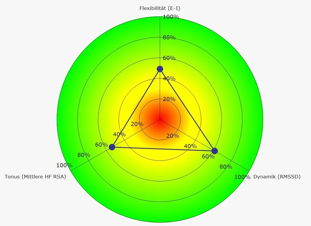 Radar chart with three axes (Tonus, Dynamik, Flexibilität); blue triangle marks values around mid-range on each axis; red center fading to green edge.